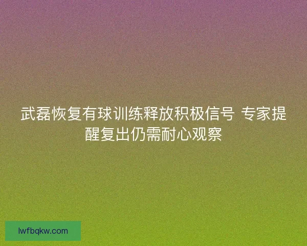 武磊恢复有球训练释放积极信号 专家提醒复出仍需耐心观察 武磊恢复有球训练释放积极信号 专家提醒复出仍需耐心观察