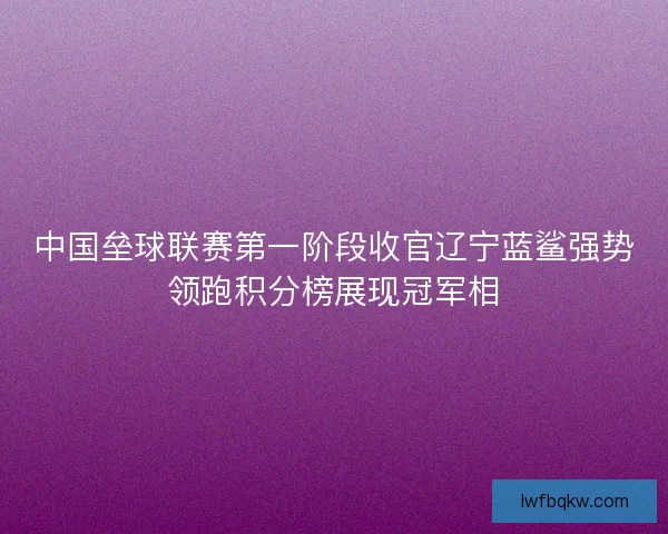 中国垒球联赛第一阶段收官辽宁蓝鲨强势领跑积分榜展现冠军相