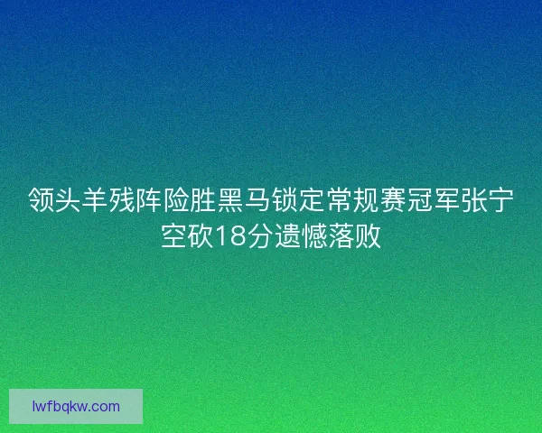 领头羊残阵险胜黑马锁定常规赛冠军张宁空砍18分遗憾落败